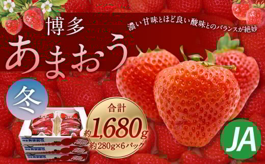  ܂ 6pbNi~jy2025N12{`2026N1{\zɕ{s23000ʕEt[c