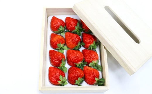 ティッシュボックス用 特別仕様の桐箱入り プレミアム あまおう 約400g×1パック【ギフト・お祝い・贈答用】【2026年2月上旬〜4月上旬発送予定】福岡県太宰府市23000果物・フルーツいちご