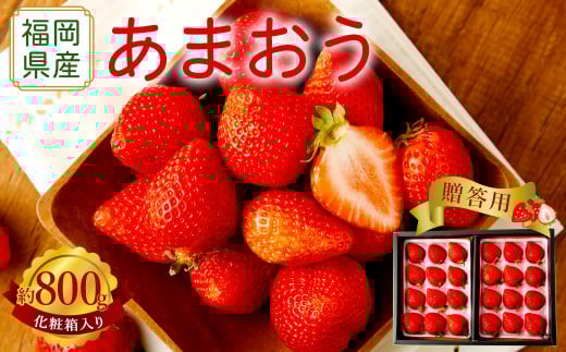 yAt^[ۏ؁zp ܂ 800gy2025N12{`2026N1{\z  C`S  ϔ蕟ɕ{s16000ʕEt[c