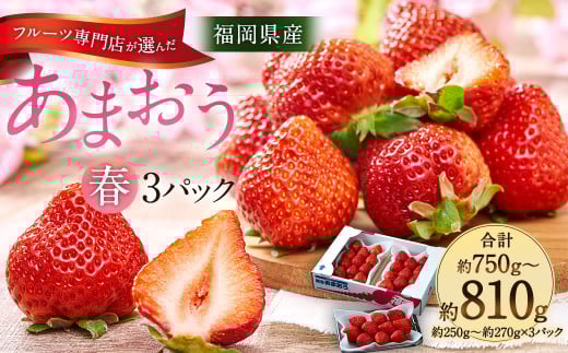 福岡産【春】あまおう3パック いちご フルーツ デザート【2026年2月上旬〜3月下旬発送予定】福岡県太宰府市12000果物・フルーツいちご