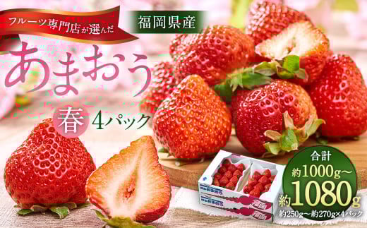 Yytz t[cXI ܂ 4pbN   ʕ t[c  ɕ{y2026N2{`3{\zɕ{s10000ʕEt[c