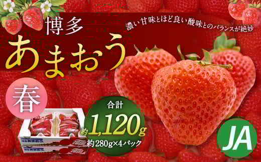 博多 あまおう 4パック(春)【2026年2月上旬〜4月下旬発送予定】福岡県太宰府市10000果物・フルーツいちご