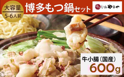 もつ鍋セット 牛もつたっぷり600g!大容量5-6人前(あごだし醤油味) 博多もつ鍋やまや  【2025年12月発送】福岡県太宰府市12000鍋セット・総菜・加工食品カレー・シチュー