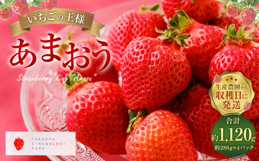 【1月〜2月発送】いちごの王様 あまおう 約280g×4パック 約1120g【2026年1月上旬〜2026年2月下旬発送予定】 いちご イチゴ 苺 フルーツ福岡県太宰府市10000果物・フルーツいちご