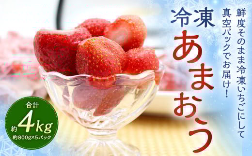 福岡県産 冷凍あまおう 4kg (800g×5パック)あまおう いちご 苺 イチゴ フルーツ 果物福岡県太宰府市26000果物・フルーツいちご