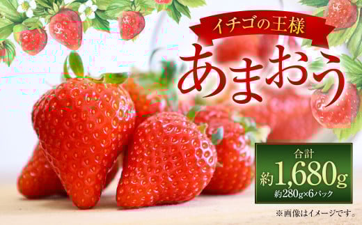 Y ܂ 280g×6pbN v1680g ʕ  t[c   C`S Xgx[ fU[g  ɕ{sy2026N1{`4{\zɕ{s19000ʕEt