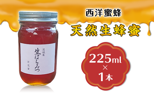 天然生蜂蜜 ( 西洋蜜蜂 ) 【 2025年6月上旬から順次発送予定 】 【 ハチミツ 蜂蜜 はちみつ 生蜂蜜 蜂 お菓子 瓶タイプ 砂糖 甘い 濃厚 】茨城県下妻市7000鍋セット・総菜・加工食品ジャム・