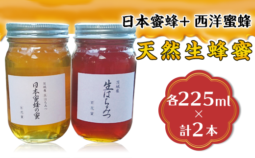 【 先行予約 】天然生蜂蜜 ( 日本蜜蜂 と 西洋蜜蜂 ) 【 2025年8月上旬から順次発送予定 】 【 ハチミツ 蜂蜜 はちみつ 生蜂蜜 蜂 お菓子 瓶タイプ 砂糖 甘い 濃厚 】茨城県下妻市17000鍋セッ