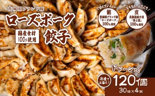 ローズポーク餃子 ドドーンと 120個 ( 冷凍 30個 × 4袋)【 茨城県産  ローズポーク 豚肉 キャベツ 北海道産小麦 春よ来 使用 もちもち ぷりぷり 皮 ギョウザ ギョーザ チャオズ 中華 餃子人気