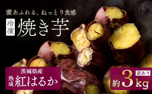 y 󂠂 zⓀĂ g͂邩 3kg y ܂ ܈ Tc}C Ĉ ₫ XC[c Ö 킯 lC  XC[g|eg w w z[SZR]錧Ȏs10000؁E
