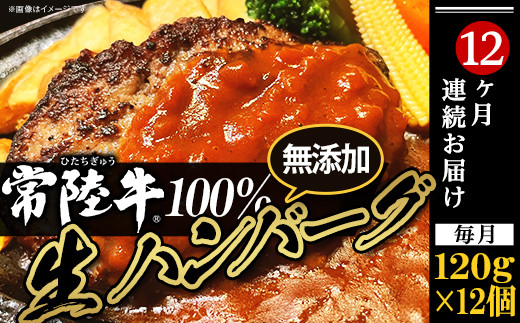 no[O 120g × 12 y 헤 z 100 y 12A͂ zy no[O no[O 헤 Ⓚ  ґ јa  y ֗ z[SZR]錧Ȏs240000