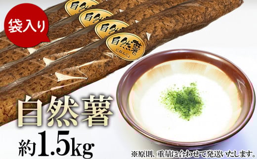R 1.5kg ( Jbg )y  d i 1.5kg jɍ킹Ă͂ zy 2025N12`2026N3딭\ zy R ܂ Ƃ lC  R ͂   z錧Ȏs150