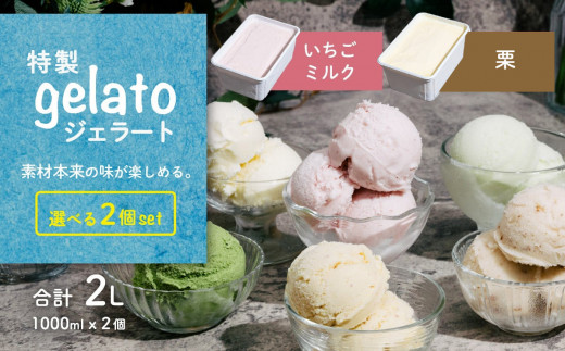 IׂWF[g 1L x 2 [ ~N ] [ I ] y ACX WF[g ACXN[ fU[g XC[c gݍ킹R Ɩp oN z錧Ȏs10000َqEXC[cACXEW