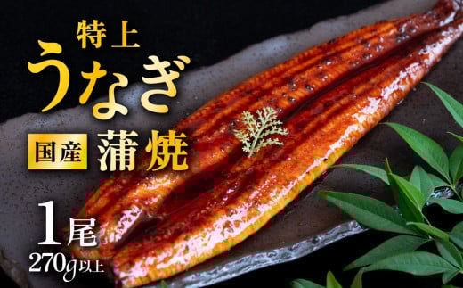 【 発送月・容量が選べる! 】【 11月発送 】 国産 うなぎ蒲焼 特上うなぎ1尾 270g以上 山椒付き 鰻 ウナギ たれ タレ たっぷり うな重 鰻重 ひつまぶし茨城県下妻市9000魚介・海産物うなぎ