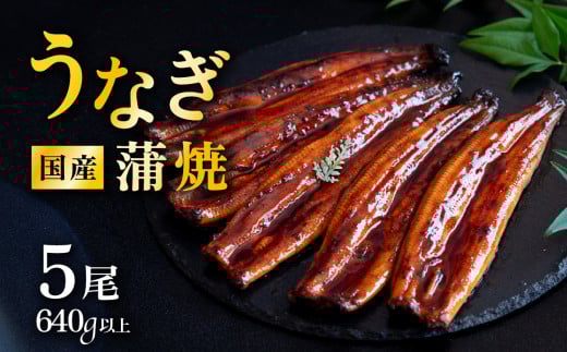 【 発送月・容量が選べる! 】【 12月発送 】 国産 うなぎ蒲焼 上うなぎ5尾 640g以上 山椒付き 鰻 ウナギ たれ タレ たっぷり うな重 鰻重 ひつまぶし茨城県下妻市18000魚介・海産物うなぎ