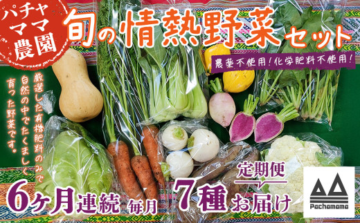 【 6ヶ月連続お届け 】 農園自慢の情熱野菜セット ( 7品 )【 野菜 詰め合わせ お任せ 季節物 定期便 セット 山芋 パセリ わさび菜 ポップコーン かぶ 人参 里芋 たまねぎ 玉ねぎ ルッコラ