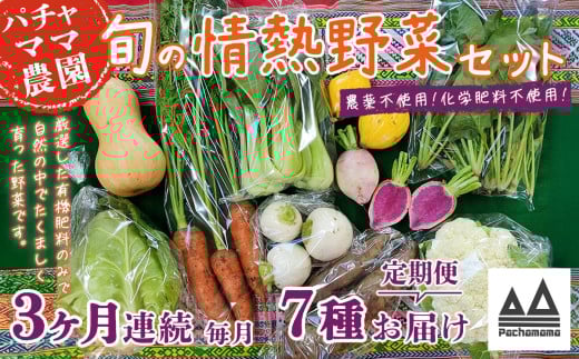 【 3ヶ月連続お届け 】 農園自慢の情熱野菜セット ( 7品 )【 野菜 詰め合わせ お任せ 季節物 定期便 セット 山芋 パセリ わさび菜 ポップコーン かぶ 人参 里芋 たまねぎ 玉ねぎ ルッコラ