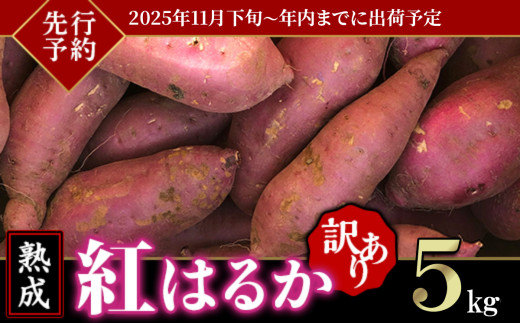 【 先行予約 】【 訳あり 】茨城県産 熟成さつまいも「 紅はるか 」 5kg 【 2025年11月下旬頃〜年内までに出荷 】【 さつまいも 紅はるか 芋 サツマイモ 甘い 焼き芋 スイートポテト 茨城県産