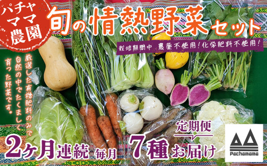 【 2ヶ月連続お届け 】 農園自慢の情熱野菜セット ( 7品 )【 野菜 詰め合わせ お任せ 季節物 定期便 セット 山芋 パセリ わさび菜 ポップコーン かぶ 人参 里芋 たまねぎ 玉ねぎ ルッコラ