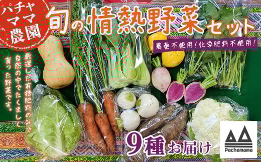 農園自慢の情熱野菜セット ( 9品 )【 野菜 詰め合わせ お任せ 季節物 セット 山芋 パセリ わさび菜 ポップコーン かぶ 人参 里芋 たまねぎ 玉ねぎ ルッコラ ほうれん草 春菊 大根 芽キャベ