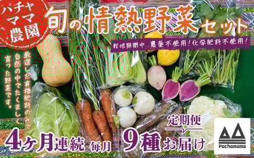 【 4ヶ月連続お届け 】 農園自慢の情熱野菜セット ( 9品 )【 野菜 詰め合わせ お任せ 季節物 定期便 セット 山芋 パセリ わさび菜 ポップコーン かぶ 人参 里芋 たまねぎ 玉ねぎ ルッコラ