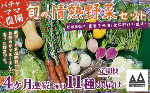 【 4ヶ月連続お届け 】 農園自慢の情熱野菜セット ( 11品 )【 野菜 詰め合わせ お任せ 季節物 定期便 セット 山芋 パセリ わさび菜 ポップコーン かぶ 人参 里芋 たまねぎ 玉ねぎ ルッコラ