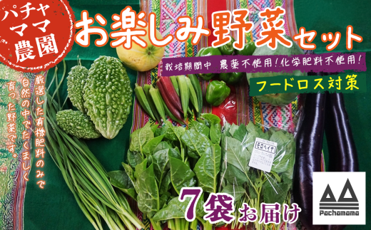 【 訳あり 】 お楽しみ野菜セット ( 7袋 )【 フードロス対策 】【 野菜 詰め合わせ お任せ 訳あり フードロス 季節物 セット 山芋 パセリ かぶ 人参 里芋 たまねぎ 玉ねぎ ルッコラ ほうれ