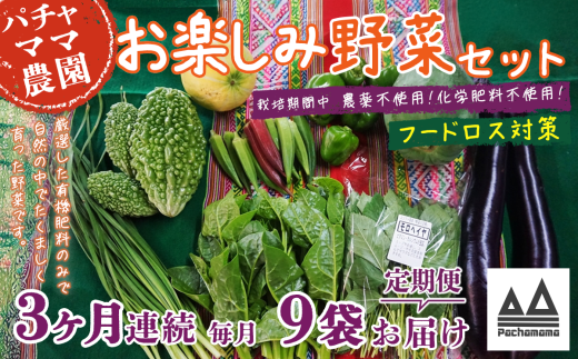 【 訳あり 】【 3ヶ月連続お届け 】 お楽しみ野菜セット ( 9袋 )【 フードロス対策 】【 野菜 詰め合わせ お任せ 訳あり フードロス 季節物 セット 山芋 パセリ かぶ 人参 里芋 たまねぎ 玉