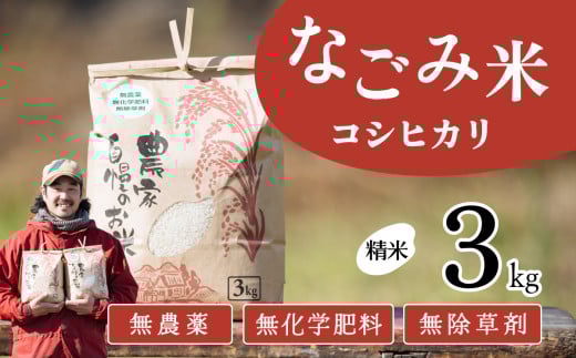 【11月発送】茨城県下妻市産 なごみ米( コシヒカリ ) 精米 3kg 【 お米 コシヒカリ 米 無農薬 無化学肥料 無除草剤 精米 自然 農法 茨城県産 】茨城県下妻市10000米・パン白米