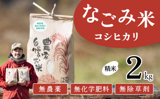 【11月発送】茨城県下妻市産 なごみ米( コシヒカリ ) 精米 2kg 【 お米 コシヒカリ 米 無農薬 無化学肥料 無除草剤 精米 自然 農法 茨城県産 】茨城県下妻市7000米・パン白米
