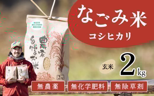 【11月発送】茨城県下妻市産 なごみ米( コシヒカリ ) 玄米 2kg 【 お米 コシヒカリ 米 無農薬 無化学肥料 無除草剤 玄米 自然 農法 茨城県産 】茨城県下妻市6000米・パン玄米・雑穀米・も