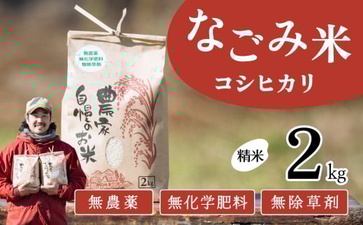 y12z錧ȎsY Ȃݕāi RVqJ j  2kg@y  RVqJ  _ w엿   R _@ 錧Y z錧Ȏs7000āEp