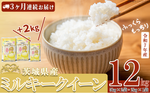 【 先行予約 】【 1月出荷開始 】【 3ヶ月連続お届け 】  令和7年産 茨城県産 ミルキークイーン 12kg ( 5kg × 2袋 + 2kg × 1袋 ) 【 米 お米 白米 茨城県産 ごはん こめ 国産 ミルキークイーン ふっ