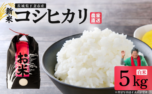 精米 コシヒカリ 5kg 茨城県下妻市産 【 米 お米 白米 ごはん こめ コシヒカリ 令和7年産 茨城県産 】茨城県下妻市15000米・パン白米