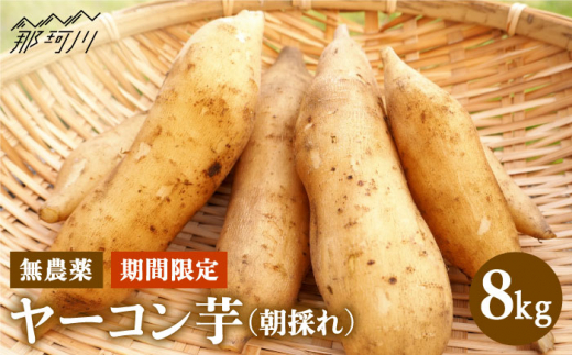 yԌzVLVLƊÂANHށÎ _ [RO[t[Y [GAL001]߉ϐs13000؁Ê卪EjWEؗ