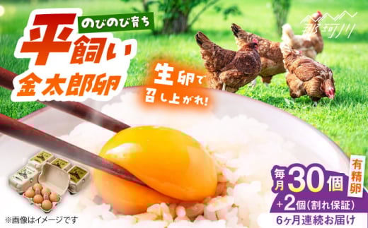 【全6回定期便】【TVで紹介!】鮮度AA級の世界最高ランク!金太郎卵 平飼い 卵 30個(6個×5パック)<有限会社 フジノ香花園>那珂川市 卵 金太郎卵 有精卵 平飼い 卵 平飼い卵 たまご [GA