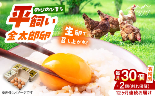【全12回定期便】【TVで紹介!】 金太郎卵 平飼い 卵 30個(6個×5P)<有限会社 フジノ香花園>那珂川市 定期便 12ヶ月 有精卵 平飼い卵 たまご 新鮮 たまご 卵 玉子 タマゴ 鶏卵 オムレツ 卵