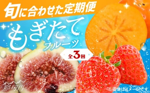 yS3ցzBE t[c CʎВc@ln揤Ђӂ邳ہ߉ϐs [GBX023]߉ϐs40000ʕEt[c