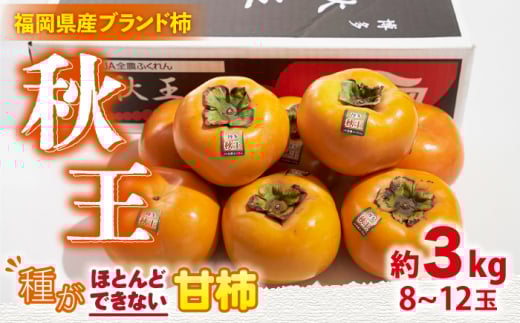 y10{蔭zYuh ` H 3kgi8-12ʁj썑t[cЁ߉ϐs [GCD022]߉ϐs32000ʕEt[c̑ ʕEt[c