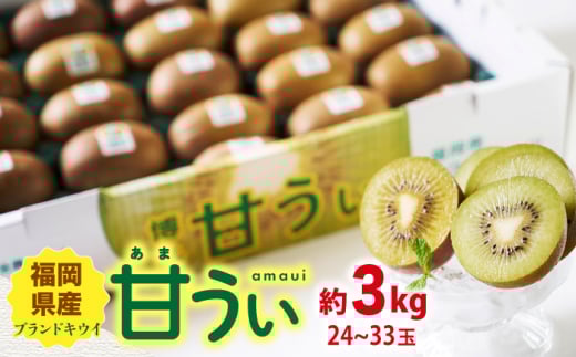 y10{蔭zYuh LEC Â 3kgi24-33ʁj썑t[cЁ߉ϐs [GCD026]߉ϐs17000ʕEt[c̑ ʕEt[c