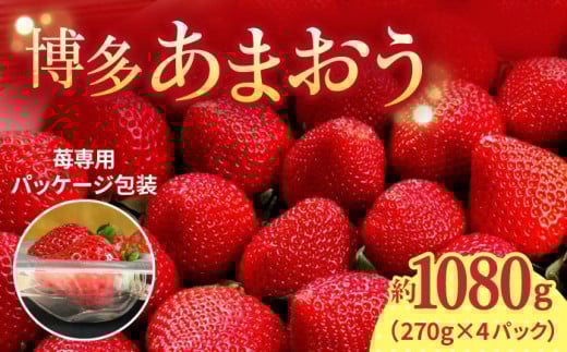 y2026N2{蔭zs\I_ƒ ̂VNy܂z270g×4H&Futures߉ϐs t[c ʕ C`S  ܂  [GDS004]߉ϐs13000