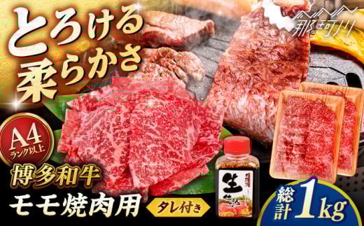 a  ēp 1kg (500g×2p) ē̃^t qT_t[Y߉ϐs  јa  Ăp Ԑg [GFY015]߉ϐs32000