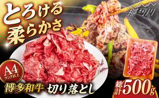 yA4`A5 za ؂藎Ƃ 500g qT_t[Y߉ϐs [GFY022]߉ϐs17000