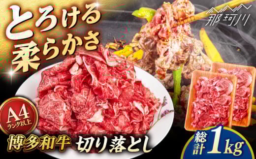 yA4`A5 za ؂藎Ƃ 1kg (500g2P) qT_t[Y߉ϐs [GFY023]߉ϐs30000