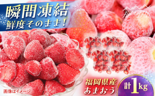 Y Ⓚ܂1g(250g×4) ؑHi ߉ϐs [GFR035]߉ϐs12000ʕEt[c