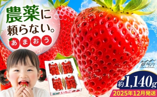 y2025N12蔭zwR_@xňĂY ܂ 285g×4pbNׂ[Ё߉ϐs [GZE008]߉ϐs25000ʕEt[c