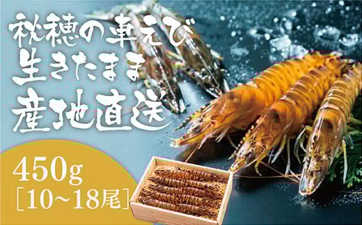 D090 活きあいおえび450g(10〜18尾)山口県山口市17000魚介・海産物エビ