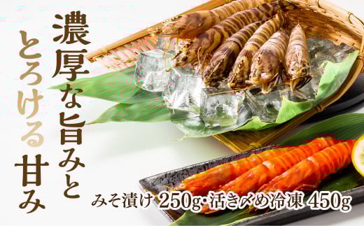 C036 特撰車えびセット山口県山口市35000魚介・海産物エビ