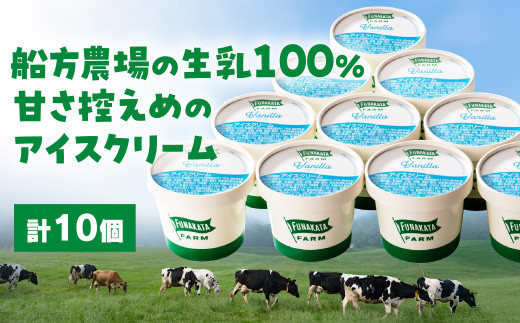 D363 船方農場のアイスクリームセット(10個入り)山口県山口市17000菓子・スイーツアイス・ジェラート