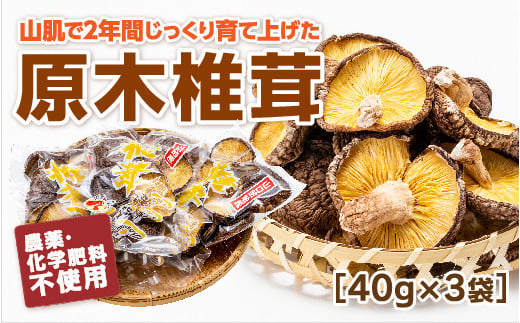E049 山口徳地産原木栽培乾しいたけ40g×3袋山口県山口市6000野菜・きのこきのこ